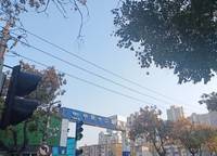 中原頌