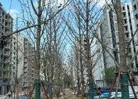 興港永威觀樾