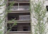 泰宏建業(yè)國際城