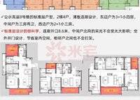 高新和錦蓮序
