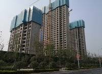金輝濱河云著