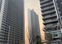 大正水晶森林