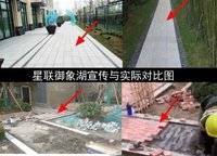 星聯(lián)樾棠
