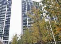 大正水晶森林