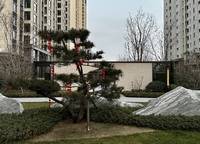 電建瀧悅華庭