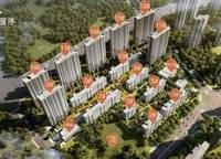 高新和錦蓮序