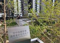大正水晶森林