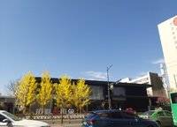 申泰中原印象