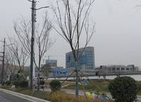 新城時光印象天昱