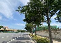 中豫湖城印象