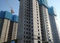 金輝濱河云著
