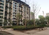 金輝濱河云著