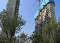 金輝濱河云著