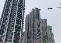 美盛金水印