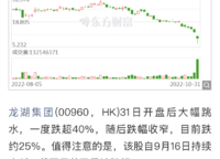 龍湖熙上