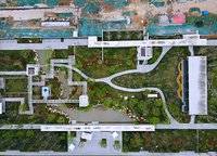 大正水晶森林