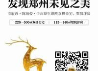 碧桂園萬山湖壹號