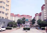 紫東河