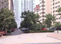 紫東河