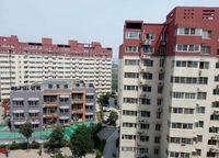 紫東河