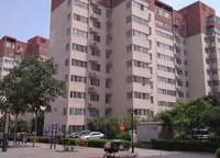 紫東河
