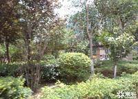中原新城公園一號(hào)