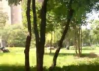 海馬公園