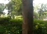海馬公園