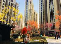 建業(yè)富力五龍新城