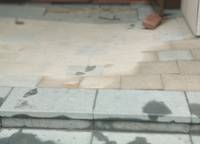 泰宏建業(yè)國際城