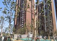 綠地璀璨天城