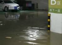 招商·公園與湖