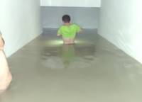 招商·公園與湖