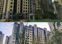 金地鉑悅