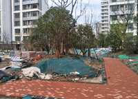 建業(yè)春天里