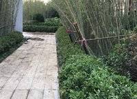 鄭東碧桂園