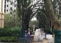 鄭東碧桂園