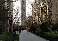 碧桂園天悅