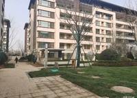 冠景君悅湖