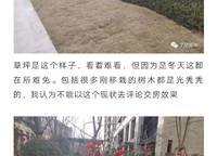 康橋悅?cè)貓@