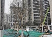 建業(yè)·盛悅府