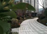 康橋康城
