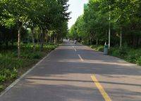 陽光城麗景公館