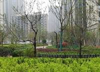 匯泉西悅城