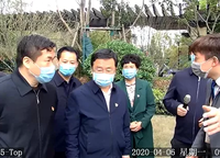金地鉑悅
