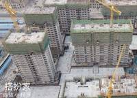 遠(yuǎn)洋瑞林宸章