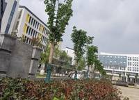 和諧山和府
