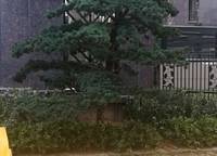 水之郡
