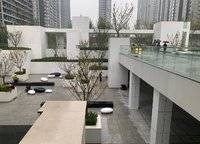 大正水晶森林