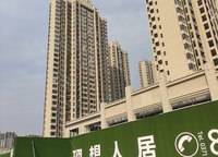 信保春風(fēng)十里